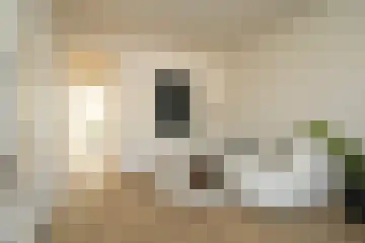 Regentesselaan 351 Den Haag thumbnail 5