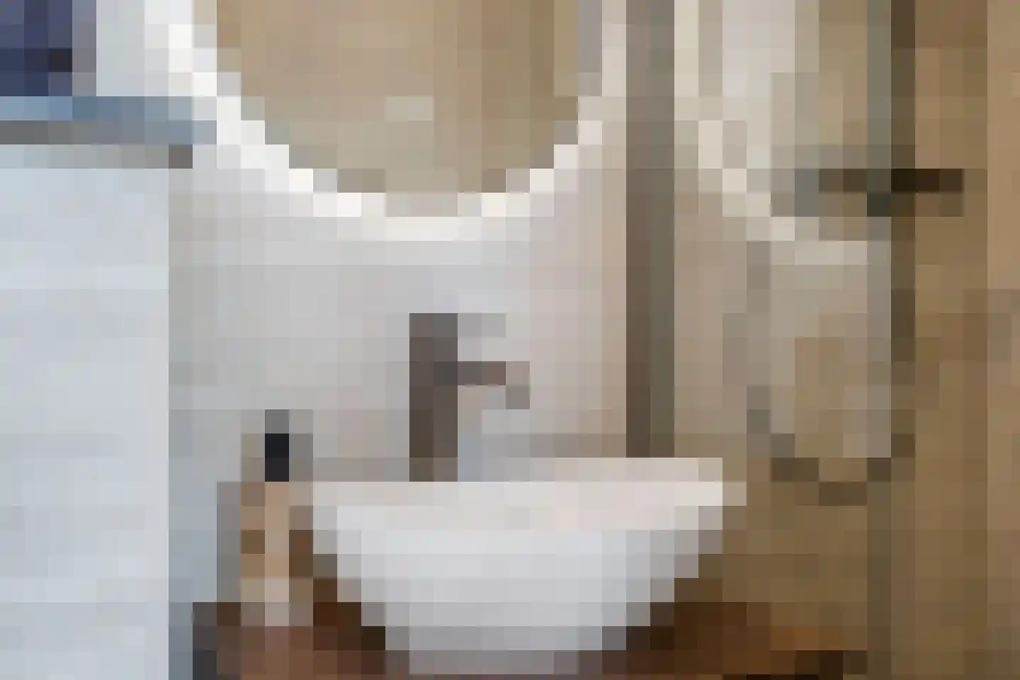 Regentesselaan 354 B Den Haag thumbnail 9