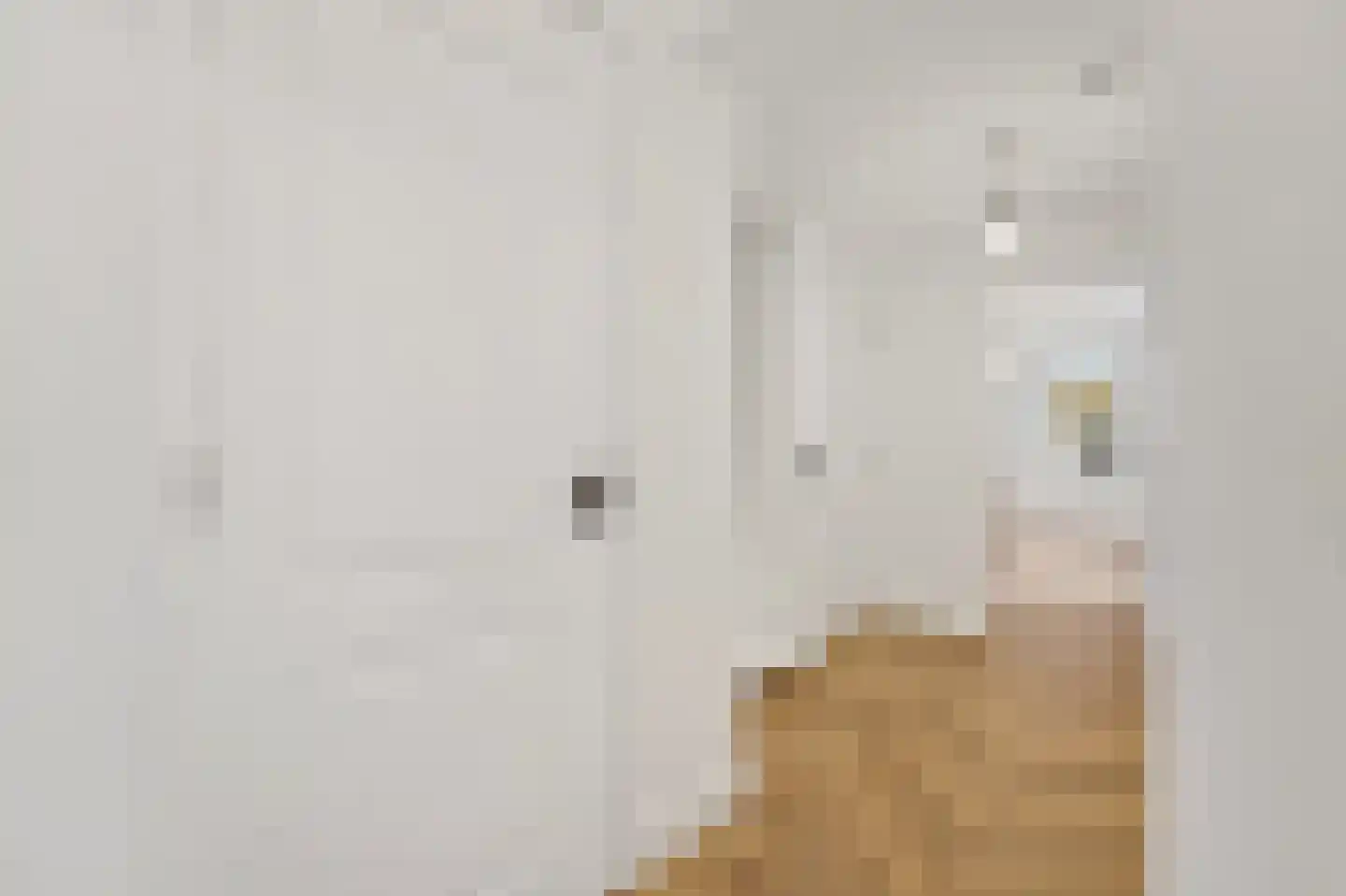 Regentesselaan 356 Den Haag thumbnail 16