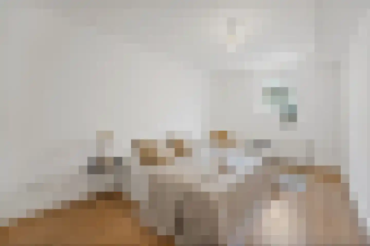 Regentesselaan 356 Den Haag thumbnail 24