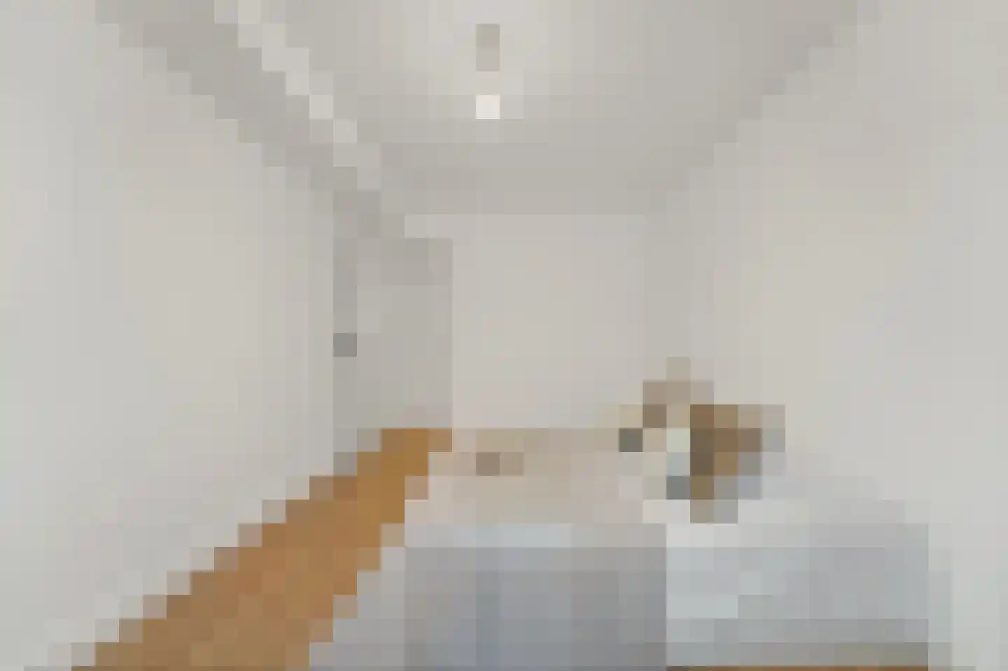 Regentesselaan 356 Den Haag thumbnail 25
