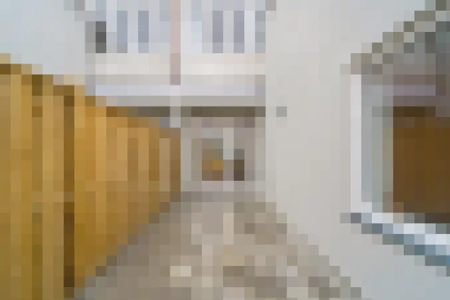 Regentesselaan 356 Den Haag thumbnail 29