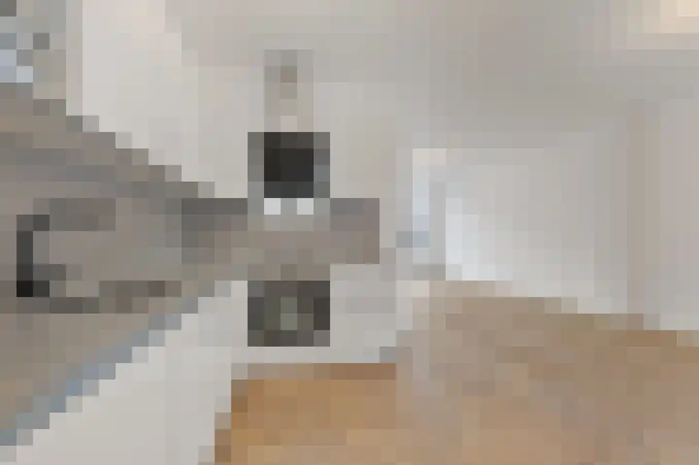 Regentesselaan 358 Den Haag thumbnail 8