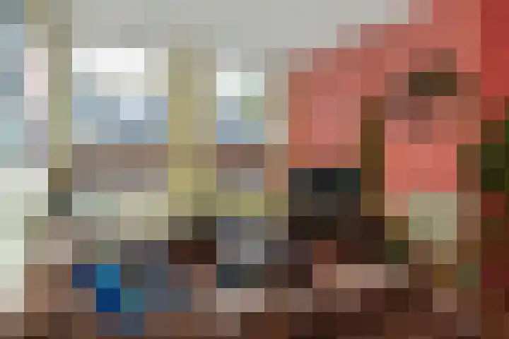 Regentesselaan 363 Den Haag thumbnail 12