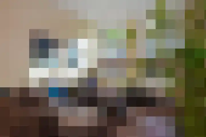 Regentesselaan 363 Den Haag thumbnail 13