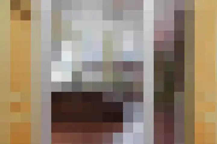Regentesselaan 363 Den Haag thumbnail 17