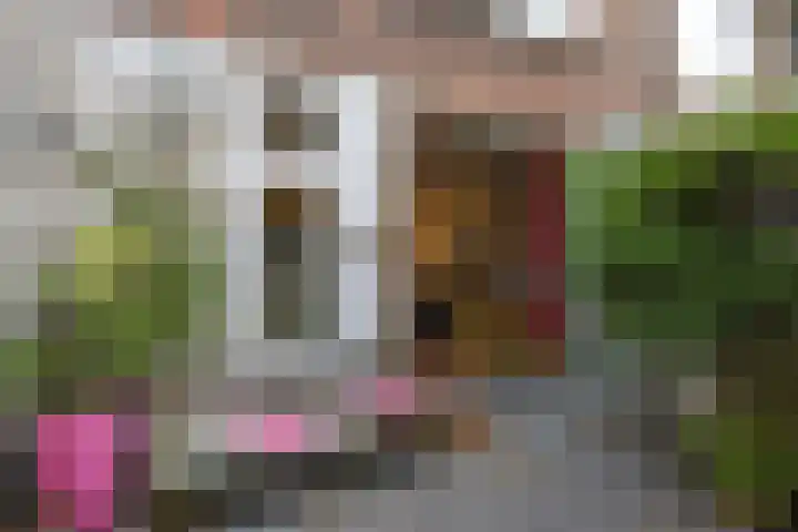Regentesselaan 363 Den Haag thumbnail 36