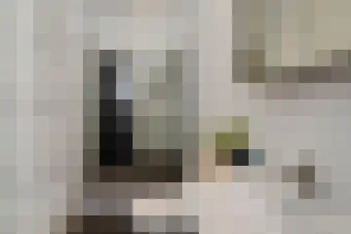 Regentesselaan 363 Den Haag thumbnail 48