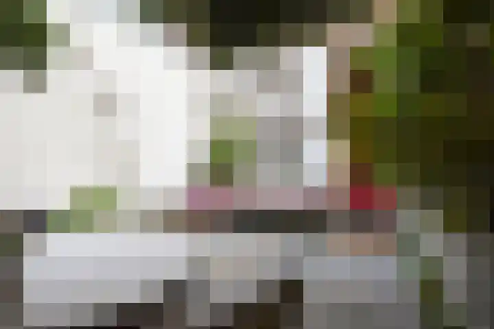 Regentesselaan 363 Den Haag thumbnail 5