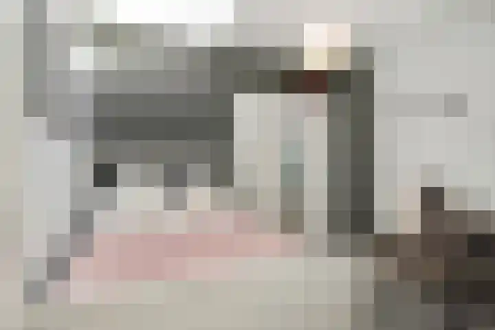 Regentesselaan 363 Den Haag thumbnail 52
