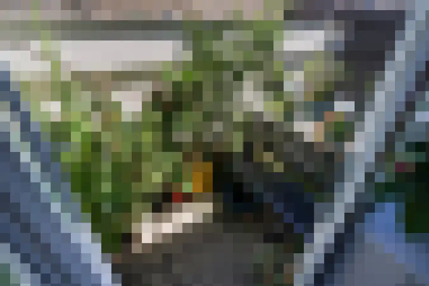 Regentesselaan 378 Den Haag thumbnail 29