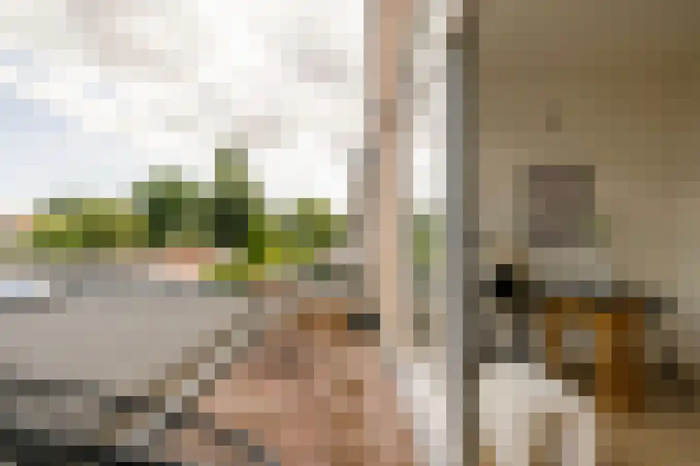 Regentesselaan 38 RD1 Haarlem thumbnail 21