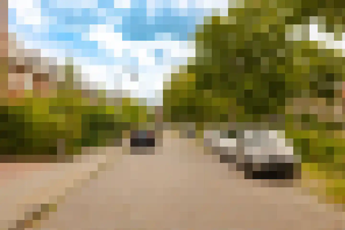 Regentesselaan 38 RD1 Haarlem thumbnail 30