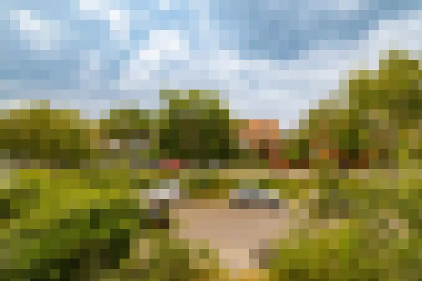 Regentesselaan 38 RD1 Haarlem thumbnail 7