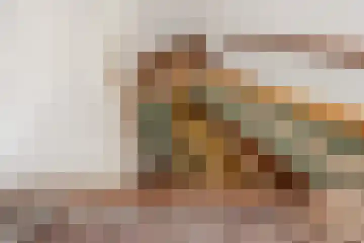 Regentesselaan 39 Den Haag thumbnail 39