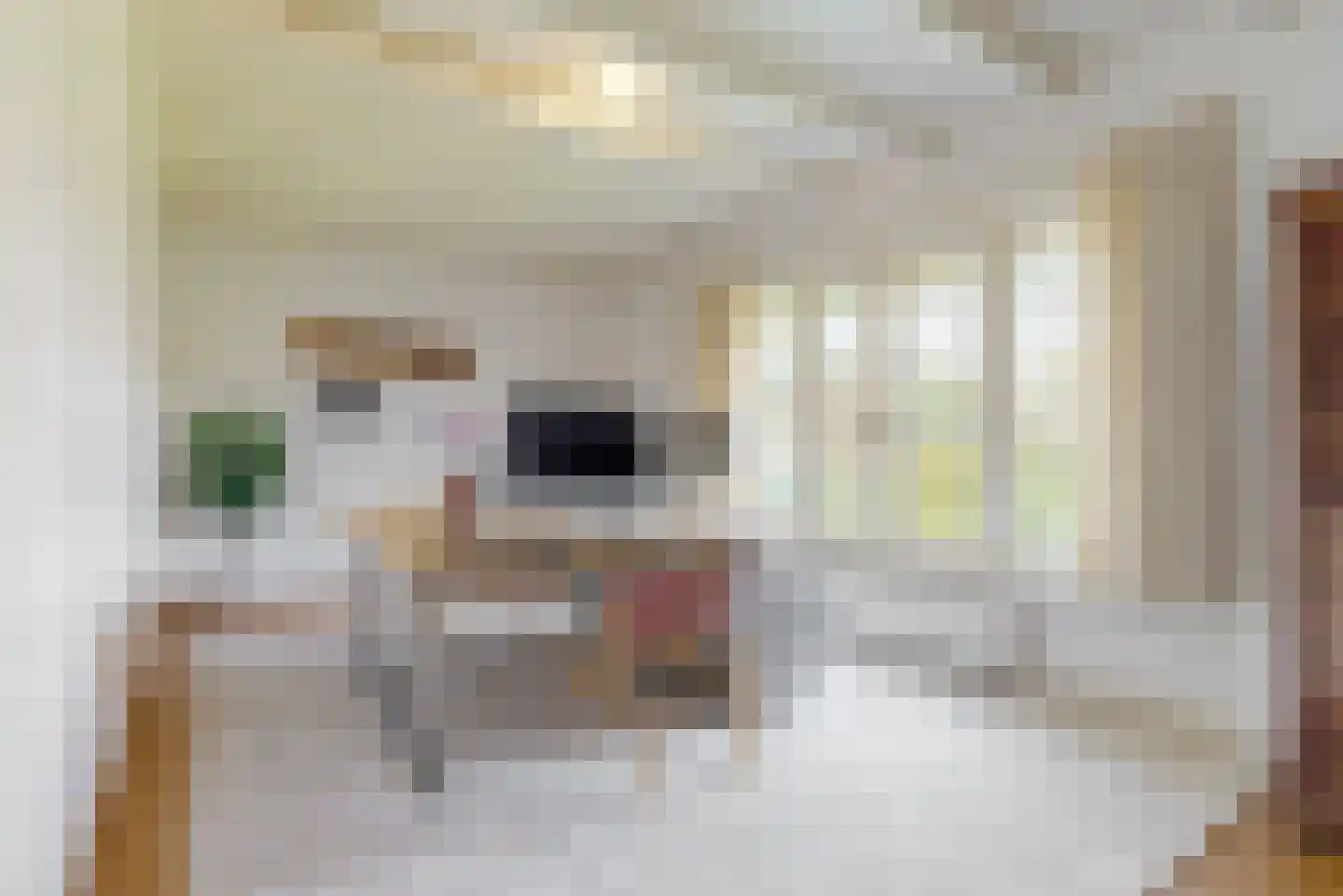 Regentesselaan 4 Hilversum thumbnail 35