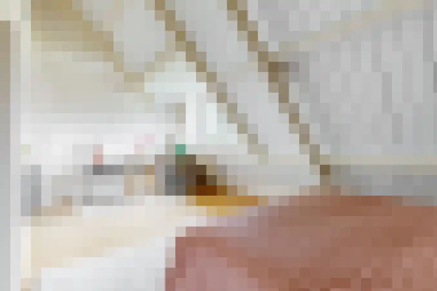 Regentesselaan 4 Hilversum thumbnail 47
