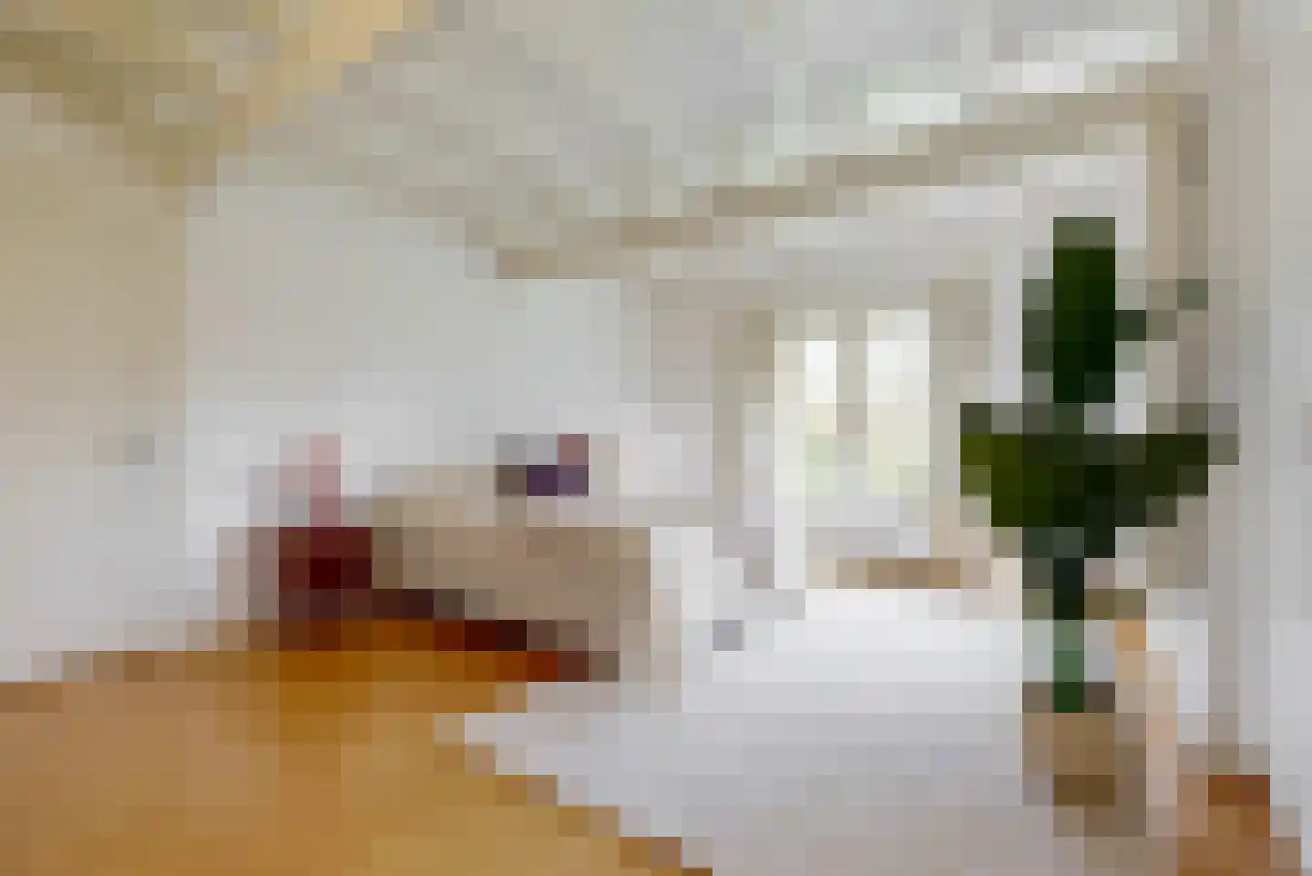 Regentesselaan 4 Hilversum thumbnail 5