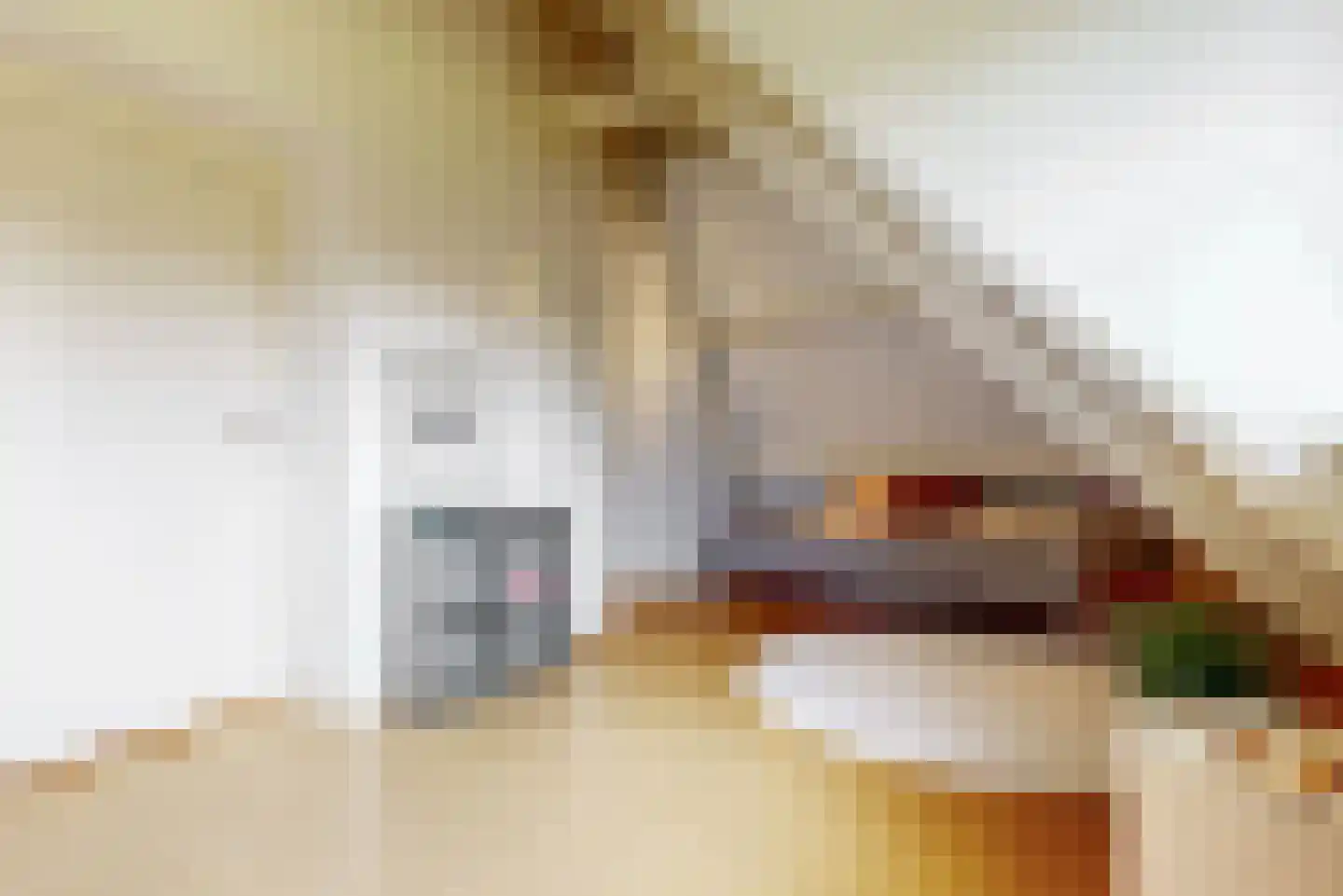 Regentesselaan 4 Hilversum thumbnail 52