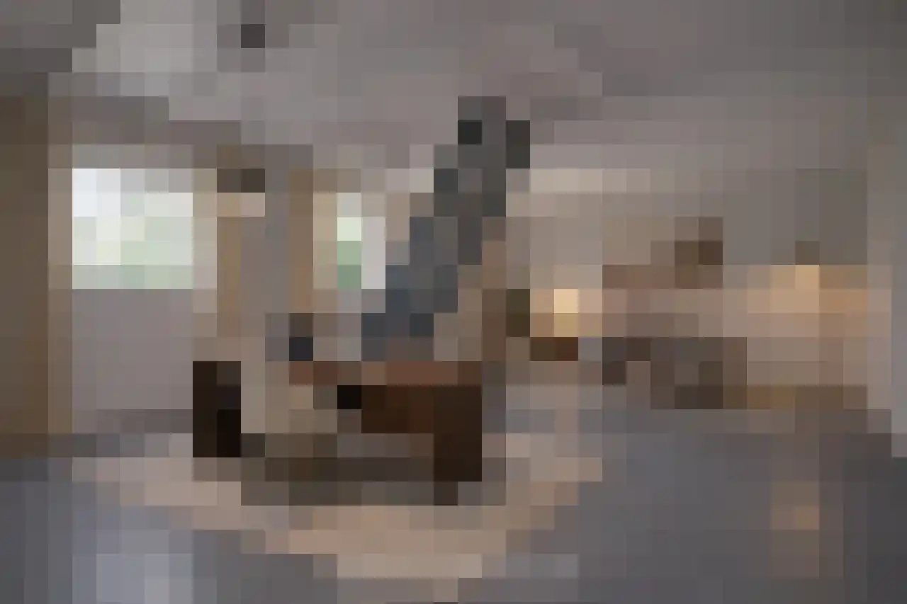 Regentesselaan 4 Hilversum thumbnail 68