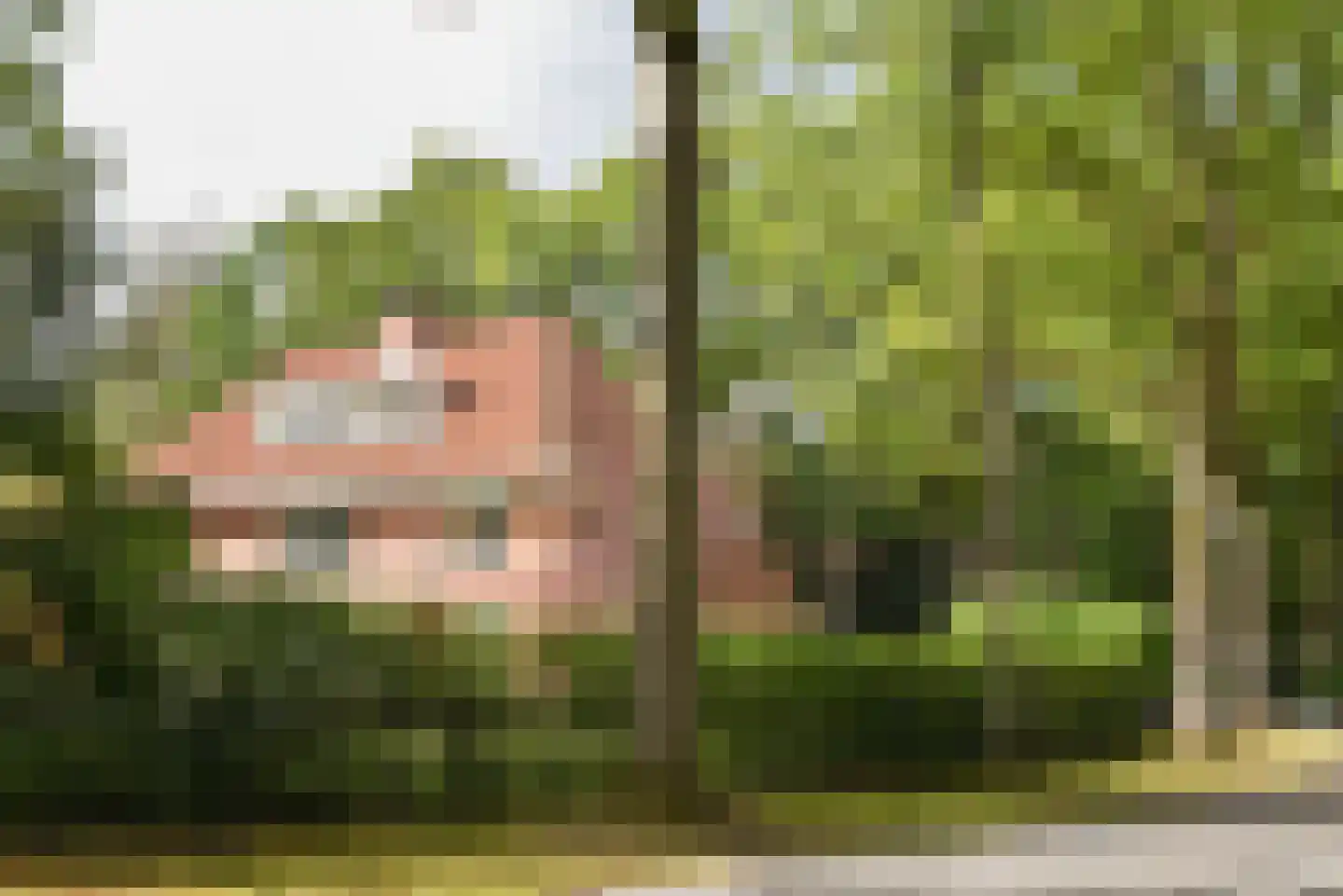 Regentesselaan 4 Hilversum thumbnail 77