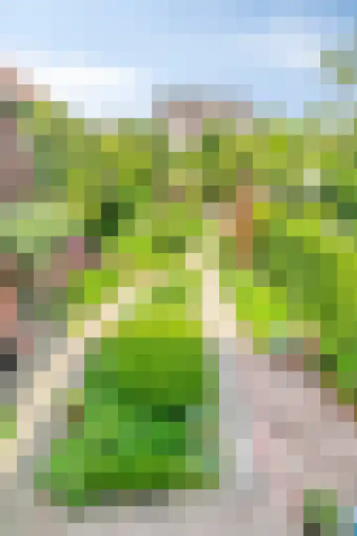 Regentesselaan 44 Oegstgeest thumbnail 10
