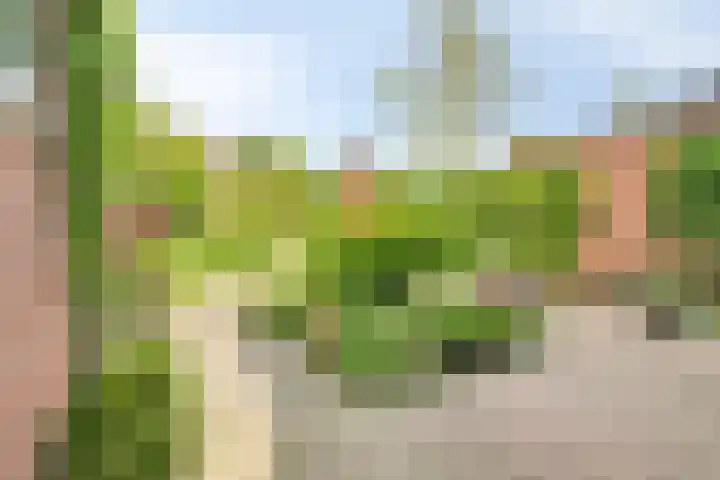 Regentesselaan 44 Oegstgeest thumbnail 11