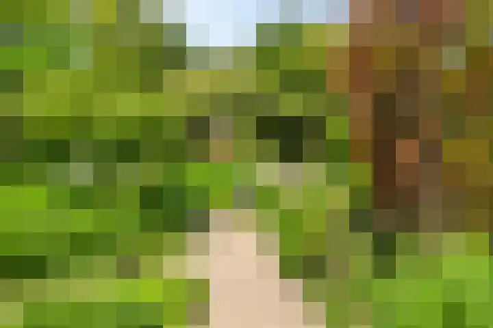 Regentesselaan 44 Oegstgeest thumbnail 13