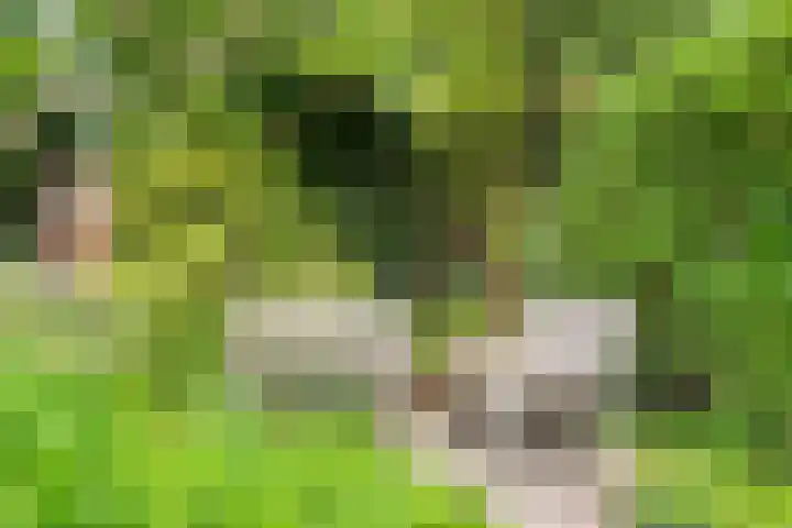 Regentesselaan 44 Oegstgeest thumbnail 14