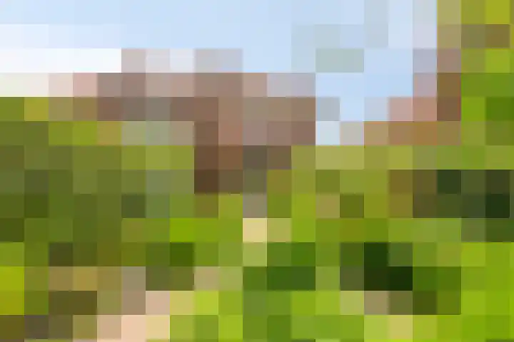 Regentesselaan 44 Oegstgeest thumbnail 15