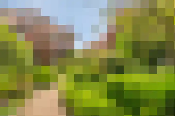 Regentesselaan 44 Oegstgeest thumbnail 16