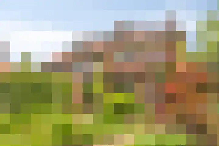Regentesselaan 44 Oegstgeest thumbnail 17