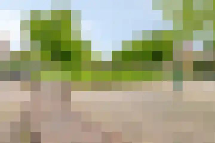 Regentesselaan 44 Oegstgeest thumbnail 21