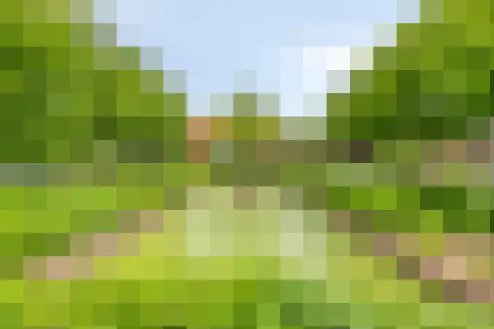 Regentesselaan 44 Oegstgeest thumbnail 22