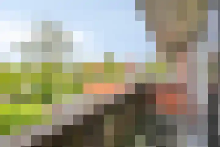 Regentesselaan 44 Oegstgeest thumbnail 7