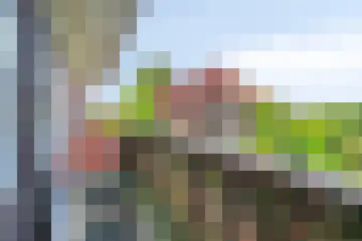 Regentesselaan 44 Oegstgeest thumbnail 8