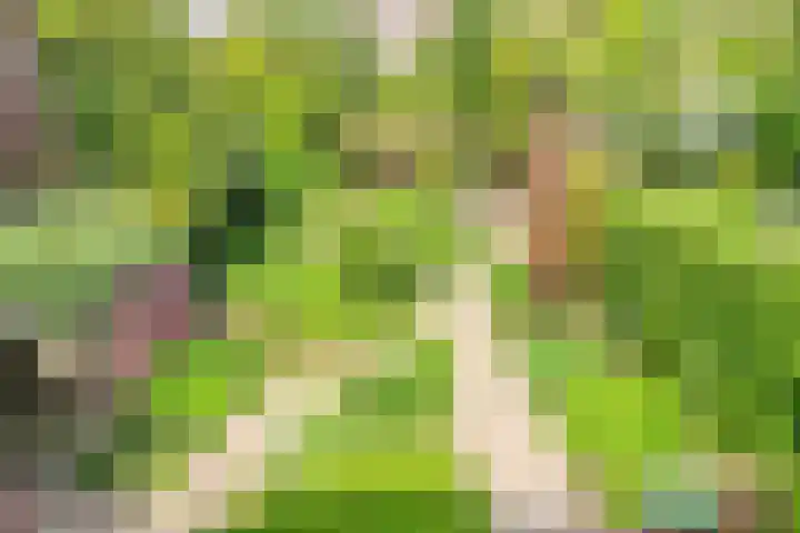Regentesselaan 44 Oegstgeest thumbnail 9