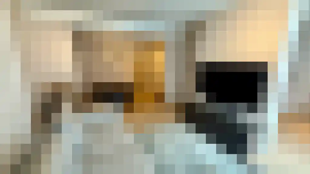 Regentesselaan 48 Den Haag thumbnail 4
