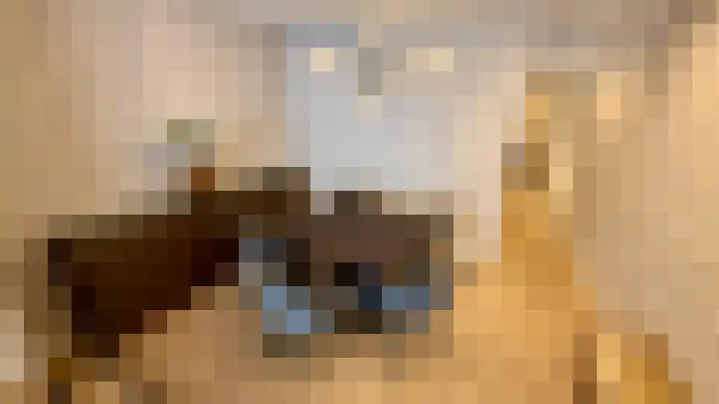 Regentesselaan 48 Den Haag thumbnail 5