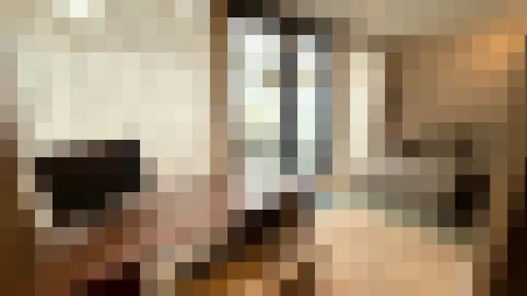 Regentesselaan 48 Den Haag thumbnail 6