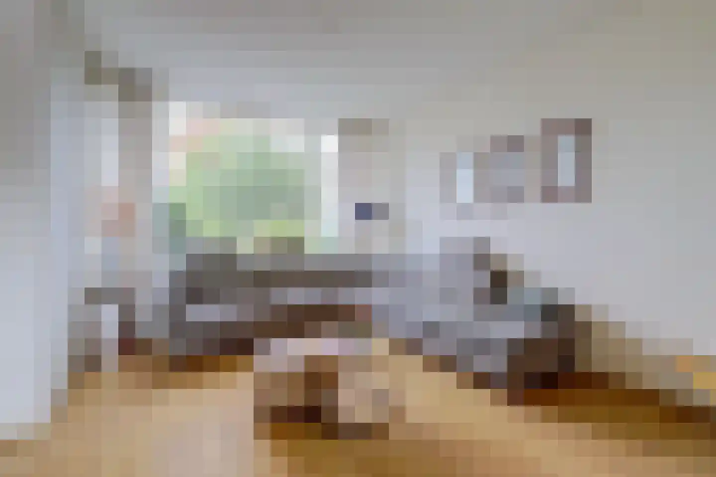 Regentesselaan 5 Veenendaal thumbnail 5