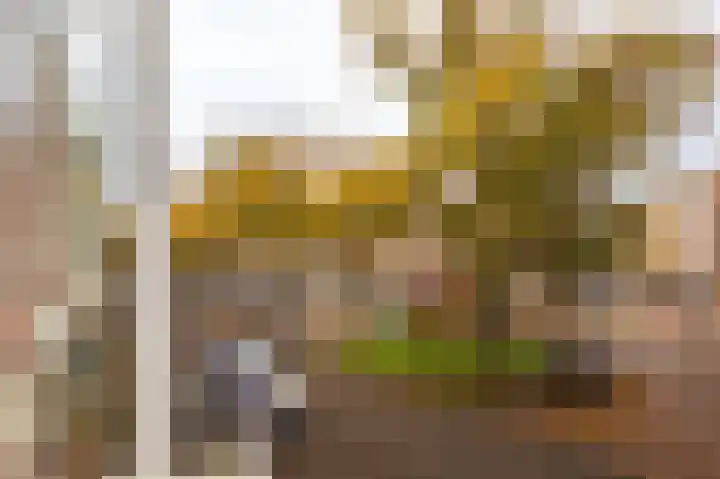 Regentesselaan 54 A Den Haag thumbnail 23