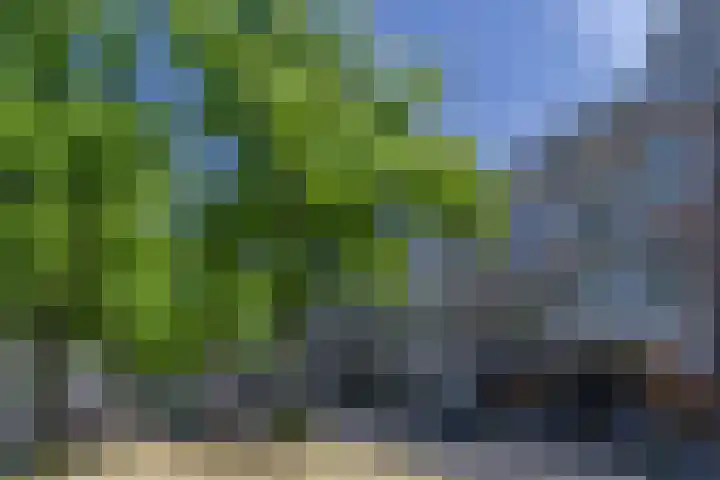 Regentesselaan 54 C Den Haag thumbnail 17