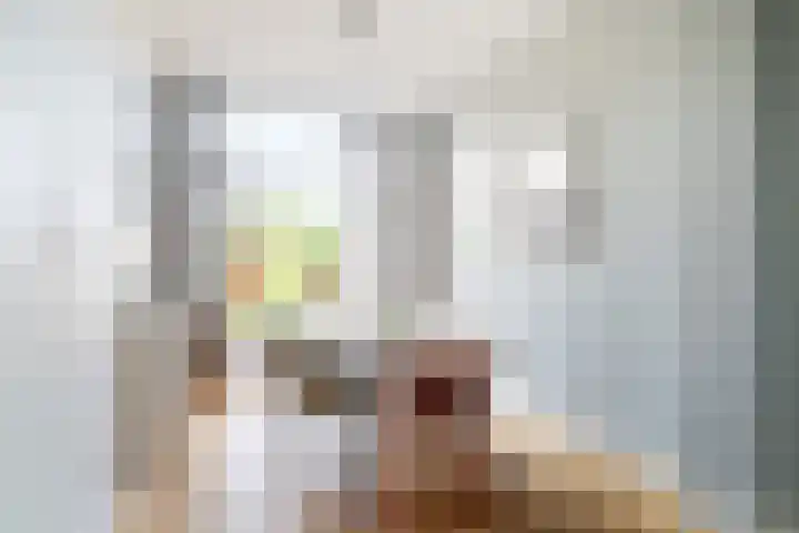 Regentesselaan 54 Rijswijk thumbnail 13