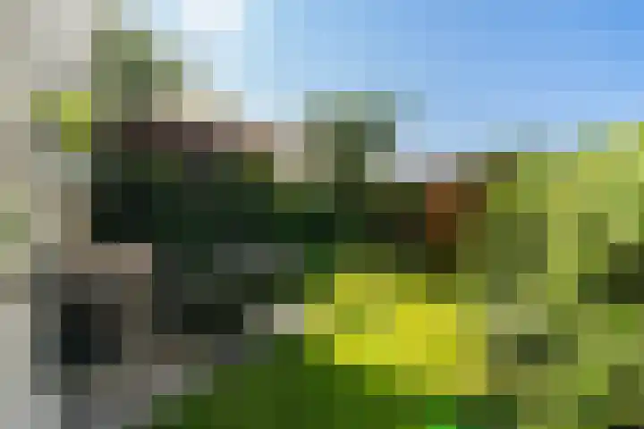Regentesselaan 54 Rijswijk thumbnail 16