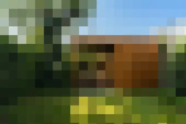 Regentesselaan 54 Rijswijk thumbnail 17