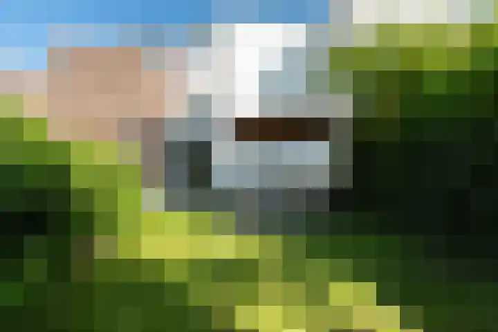 Regentesselaan 54 Rijswijk thumbnail 19