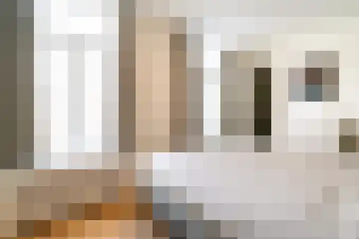 Regentesselaan 54 Rijswijk thumbnail 24