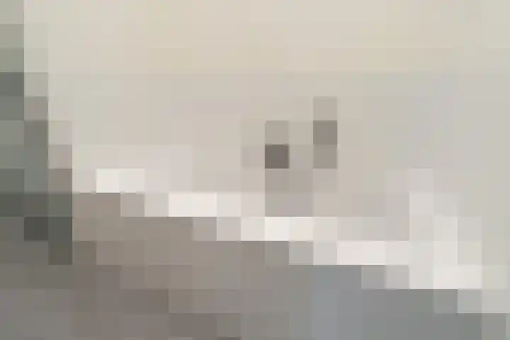 Regentesselaan 54 Rijswijk thumbnail 32