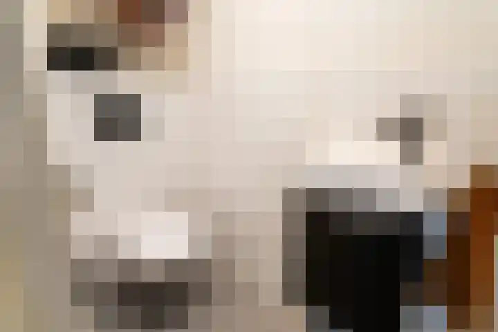 Regentesselaan 54 Rijswijk thumbnail 33